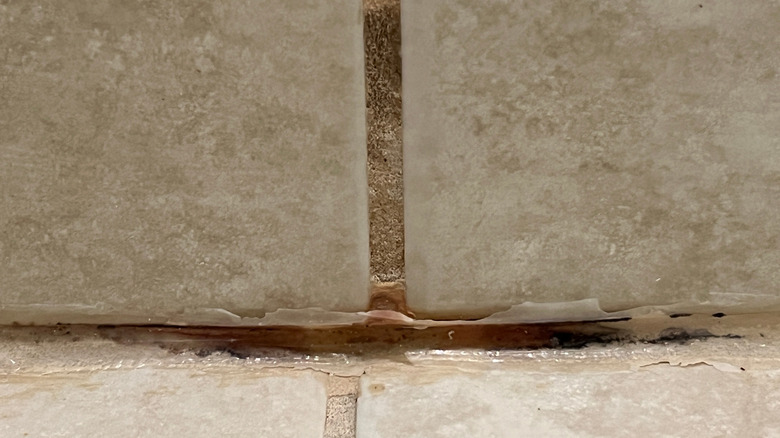 grime builtup around shower caulking