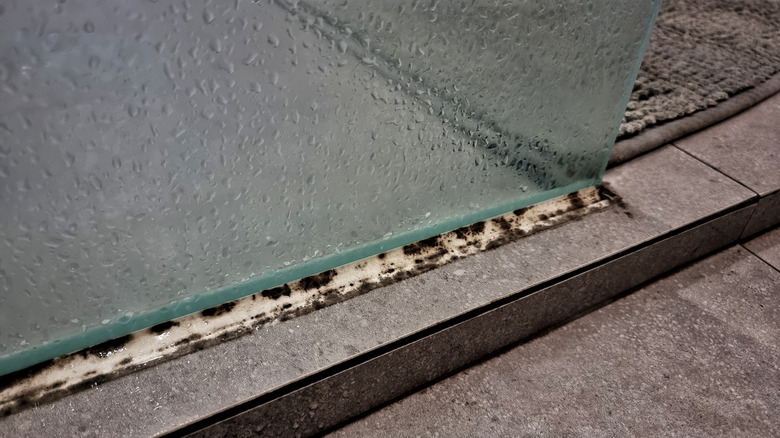 mold growing on caulk in shower