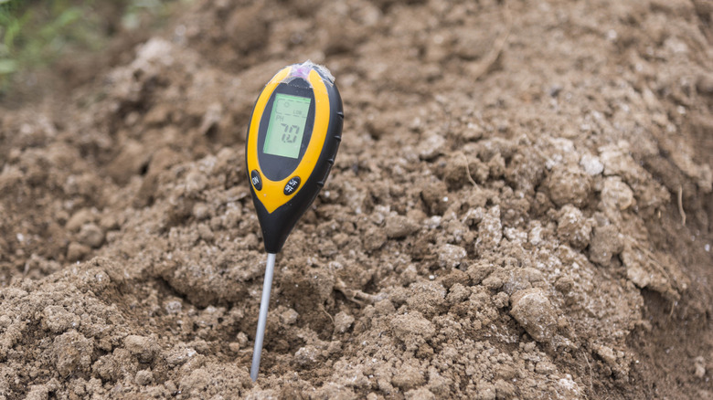 Soil pH level measure