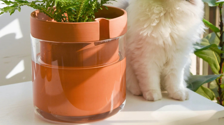A pot sitting inside a glass pot filled with water