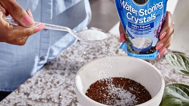 Person sprinkling soil additive into pot with soil