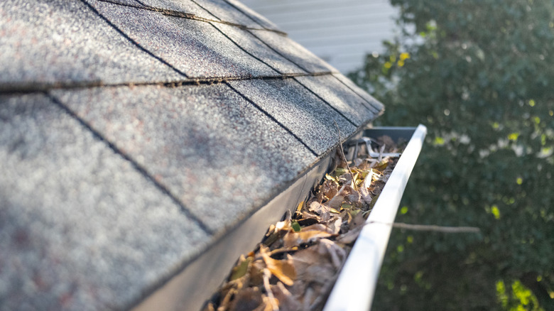 A gutter full of leaves and debris