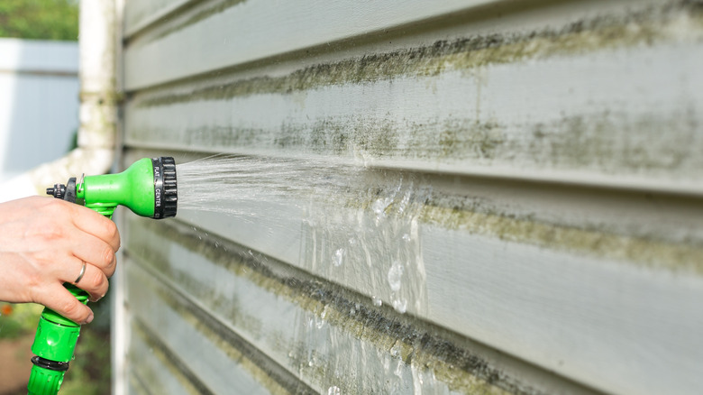 A person using a hose to clean algae off white siding on a home