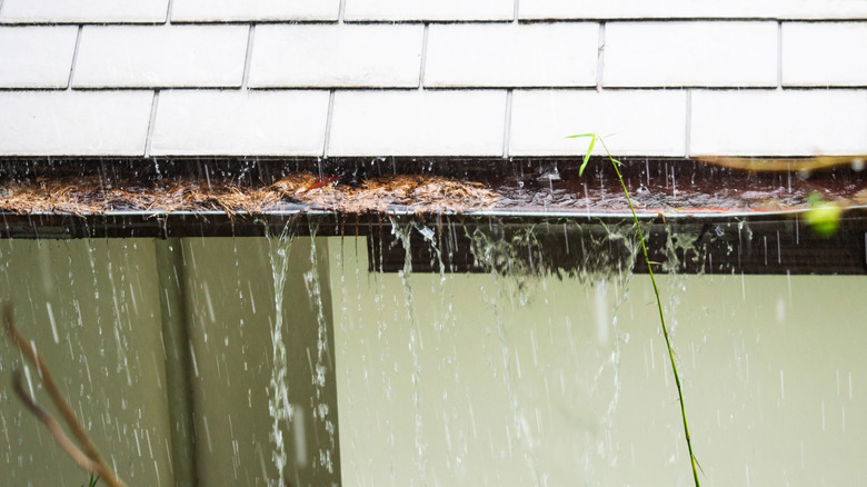 clogged gutter overflowing