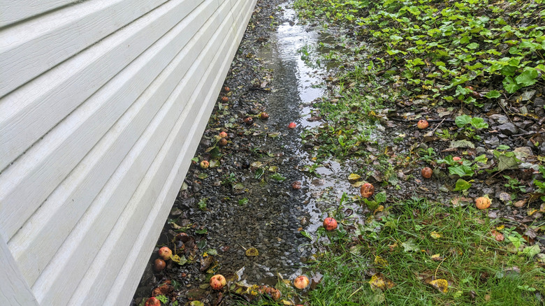water pooling beside home