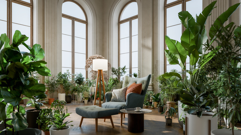 A living room with many tall plants