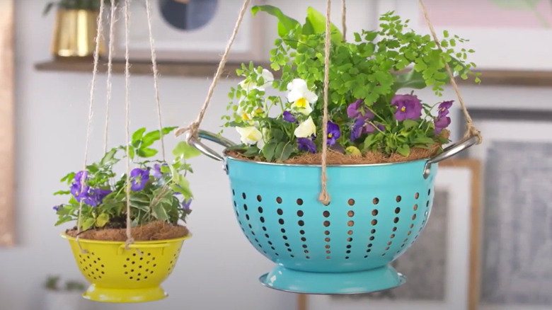 Hanging planter baskets made from old colanders