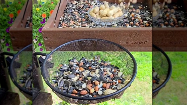 close up of a DIY bird feeder made from a colander