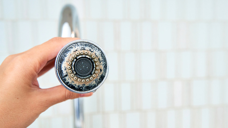 Closeup of person holding faucet with hard water stains