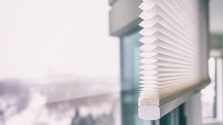 Modern honeycomb shades on a window.