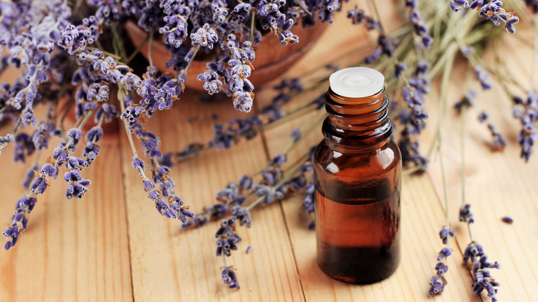 Lavender oil in a jar with lavender sprigs