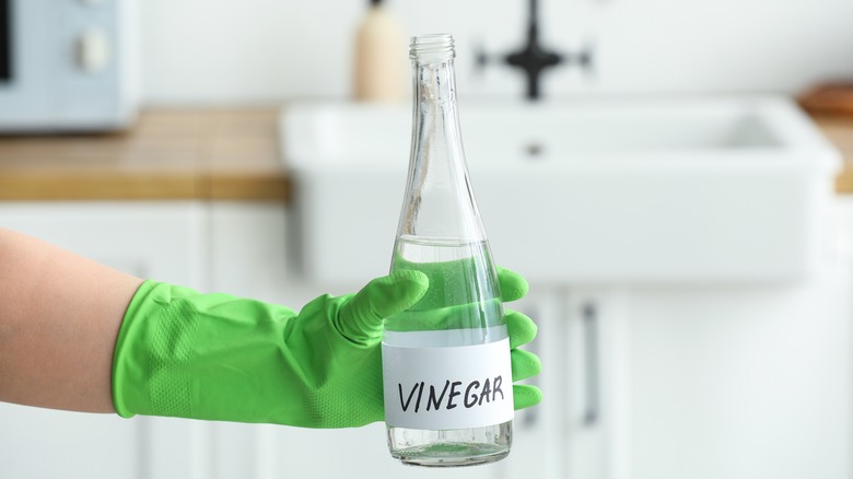 A person wearing a glove holding a bottle of vinegar