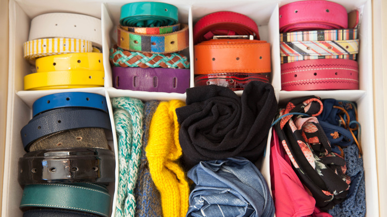 Belts and accessories in a closet organizer