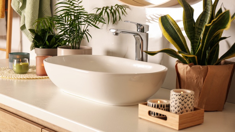 Bathroom countertop with plants