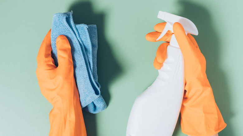 Close up of person holding a cloth and a spray bottle