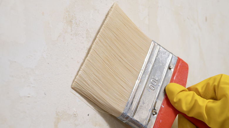 Hand holding a brush, applying primer to wall