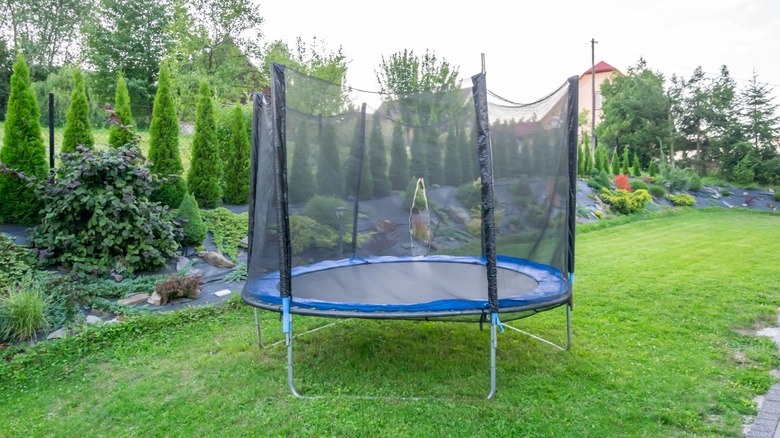 A trampoline in a garden