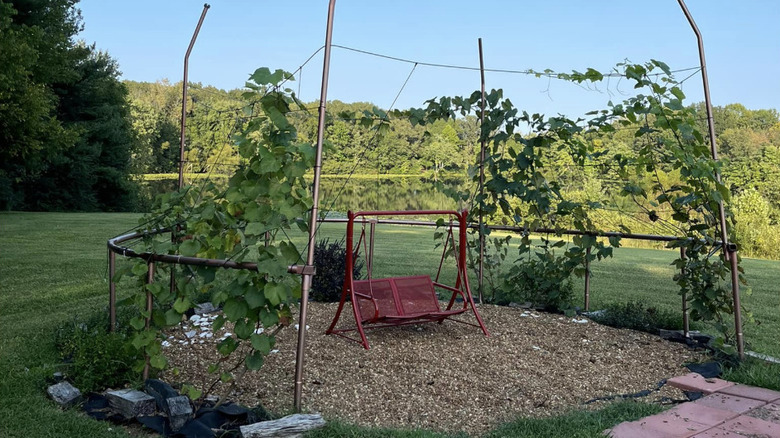 A garden trellis made of old trampoline