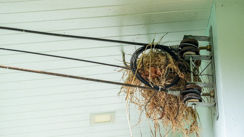 bird nest on a cable bracket