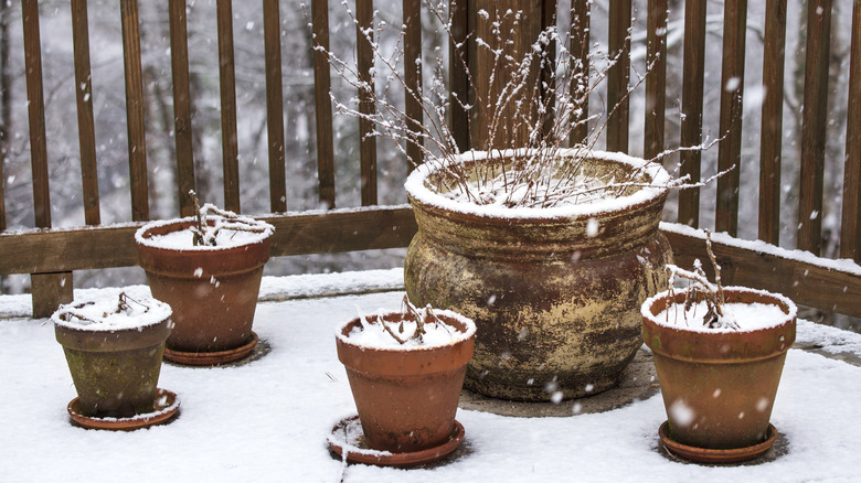 garden planters covered in snow