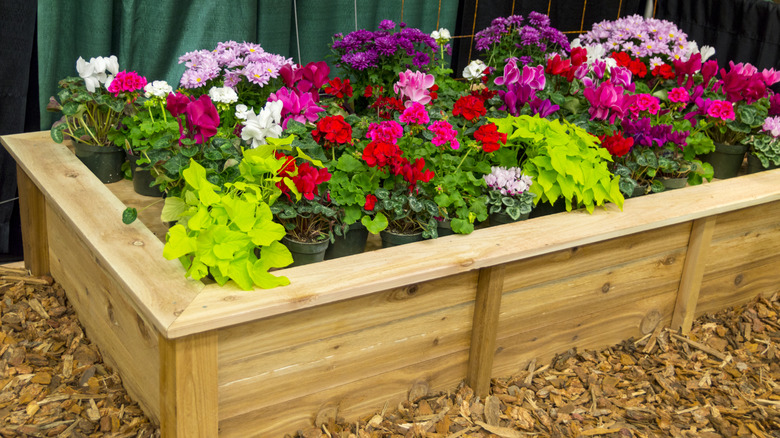 a wooden planter containing bright flowers