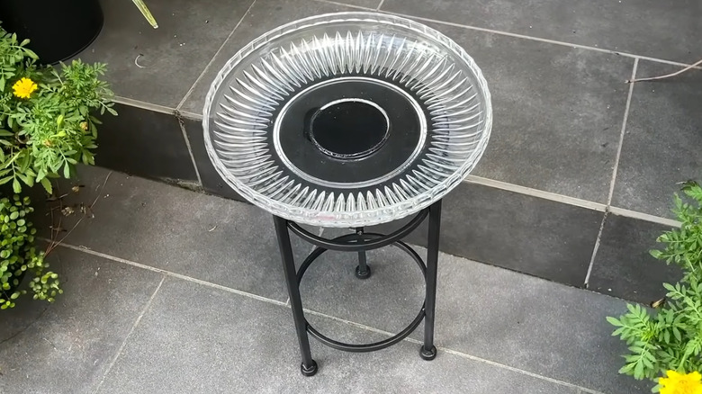 Glass serving dish on a plant stand as a bird bath