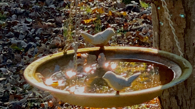 Bird bath hanging from a tree with concrete bird figurines on the edge