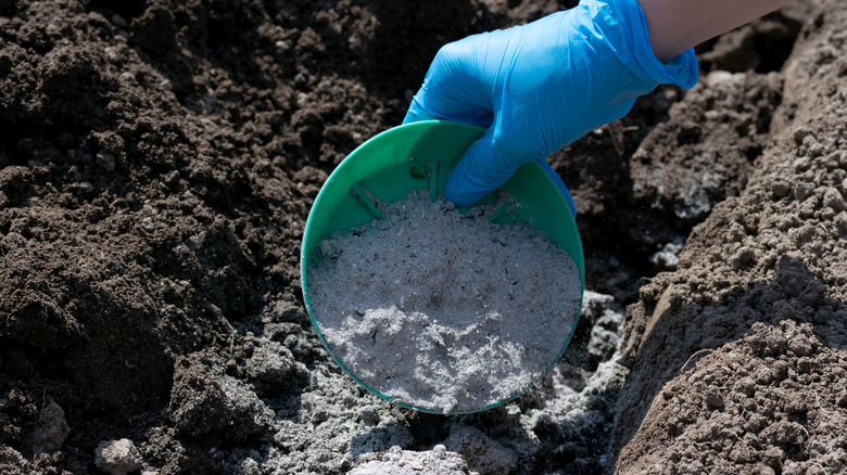 Person wearing gloves and adding wood ash to turned soil