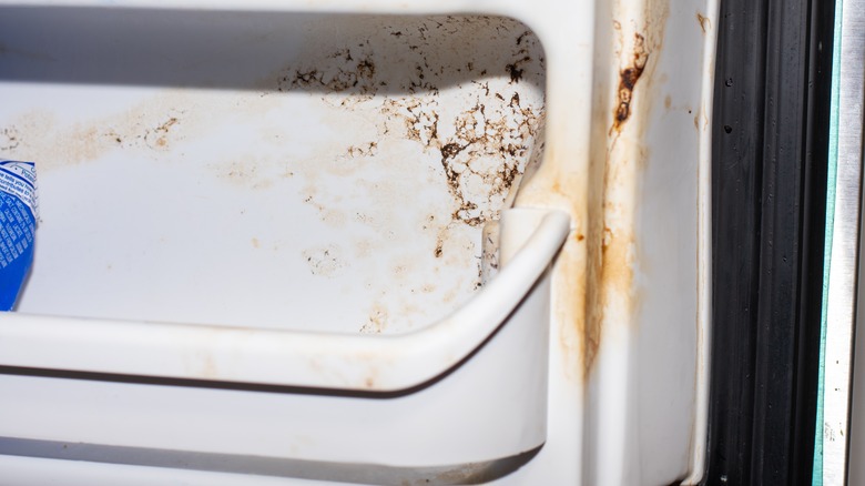 Close up of food stains on a freezer drawer