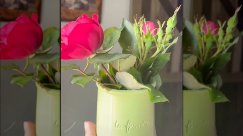 person holding a green yogurt pot with cut pink roses in it