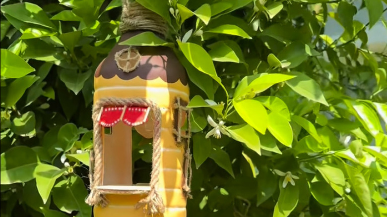 Plastic jug hanging in a tree painted like a house with rope door frames.