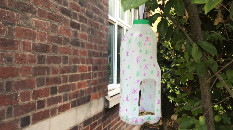 Simple half galon milk jug bird feeder hanging in a tree near a brick wall with a window