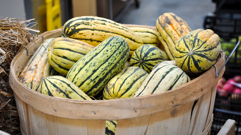 Delicata squash are piled up in a basket