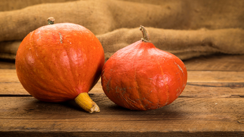 Two red kuri squash sit on a wooden table after being harvested