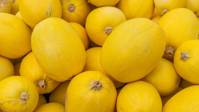 A pile of recently harvested bright yellow spaghetti squash