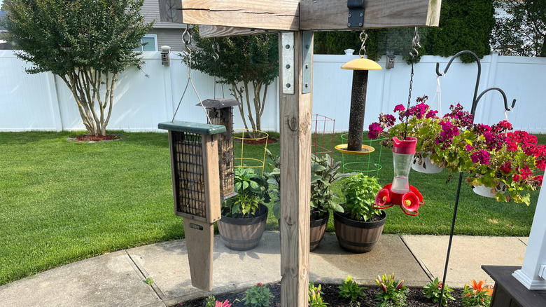 Bird feeders near a walkway