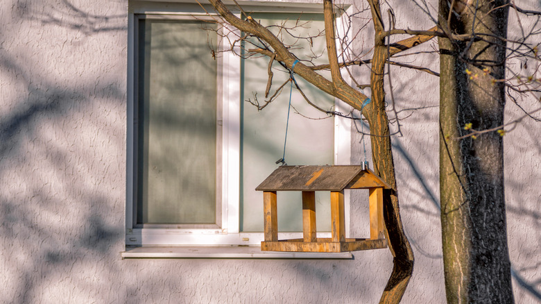 Bird feeder just over three feet from a window