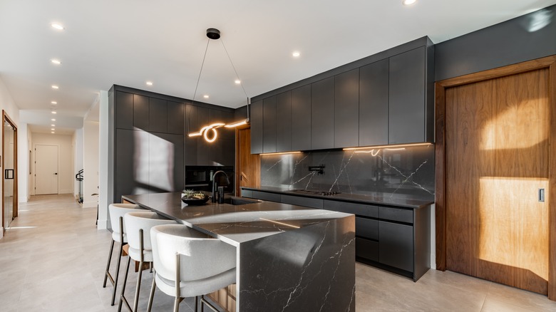 Modern black kitchen with seamless design
