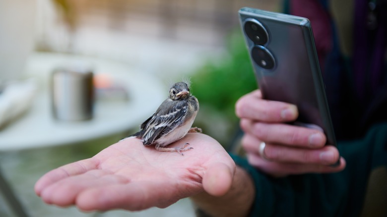 a man using mobile phone for capturing photo