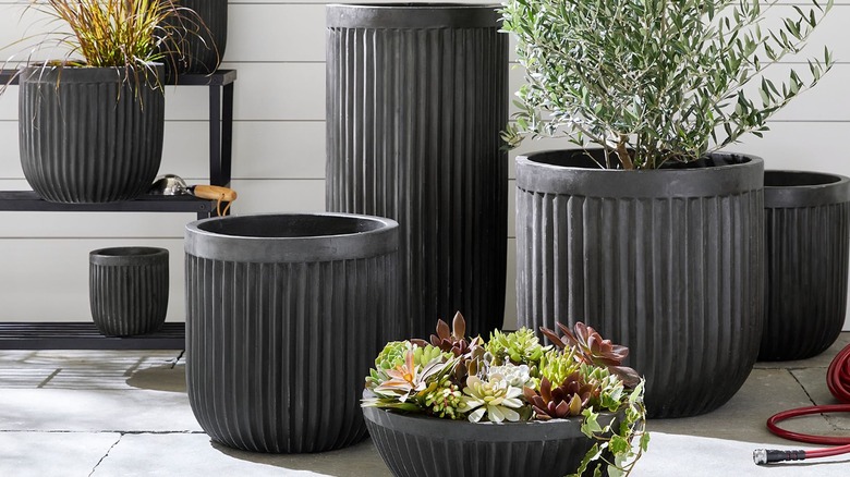 Black fluted pots outdoors