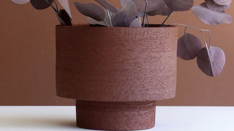 Dark red planter with a red plant inside