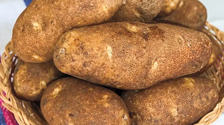 Basket of canela russet potatoes