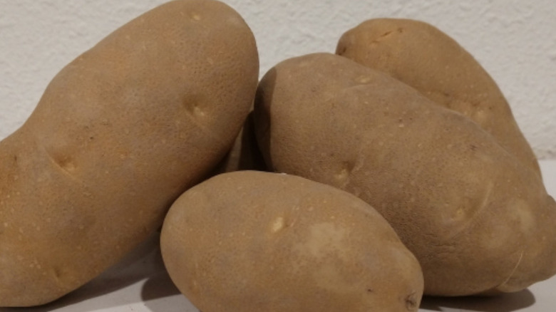 Pile of umatilla russet potatoes
