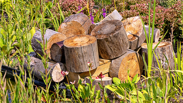 A pile of chopped wood logs in the yard