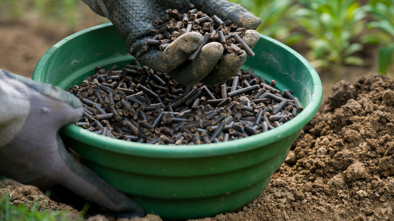 Close-up of a gloved hand adding organic matter to soil