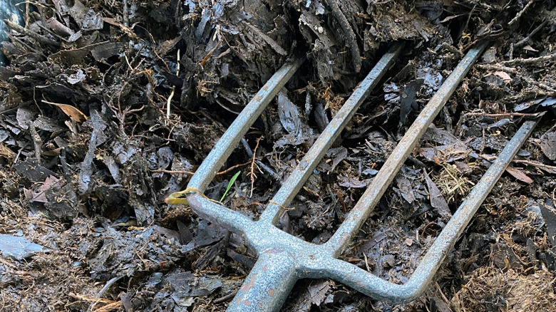 A pitchfork in wood mulch and compost