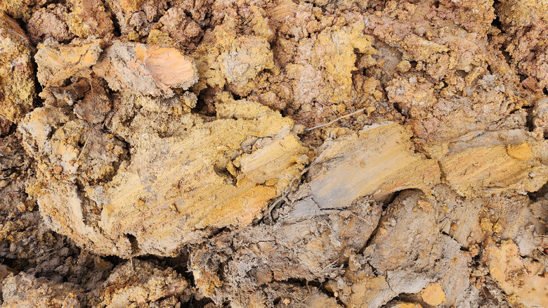 Dense clay soil