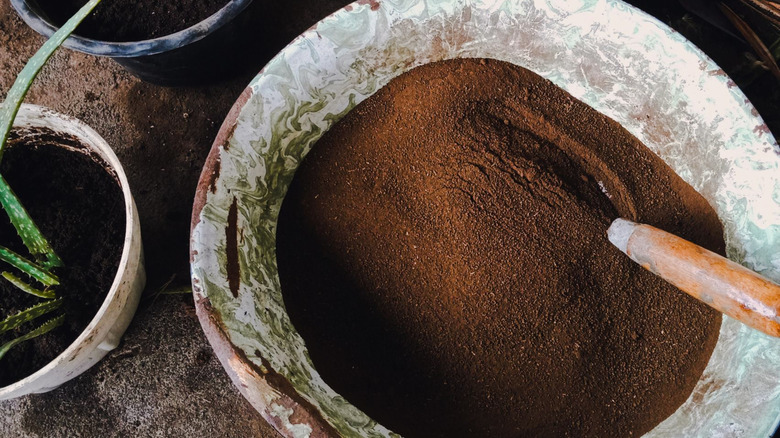 Very fine potting soil in a container.
