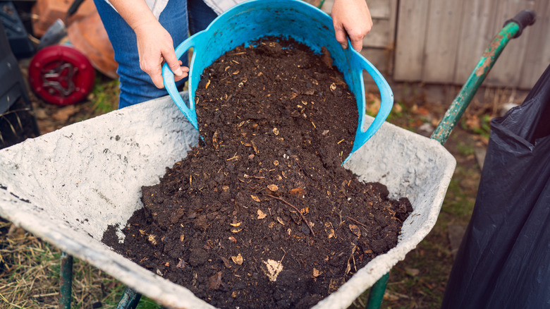 A person dumping soil in a wheelbarrow.