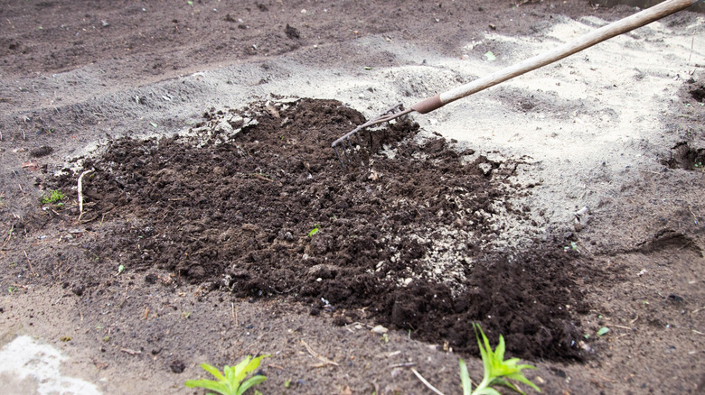 Thin layer of old potting soil is spread as topdressing.